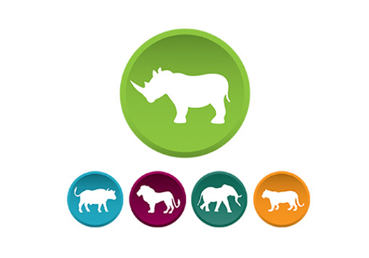 The Big Five