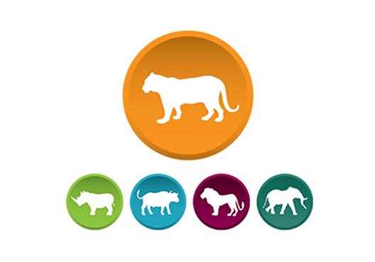 The Big Five