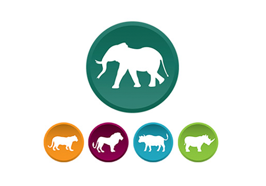 The Big Five