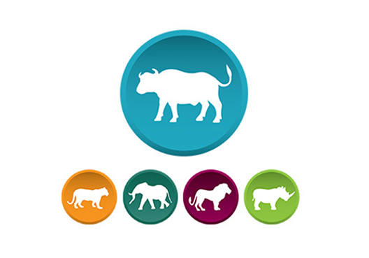 The Big Five
