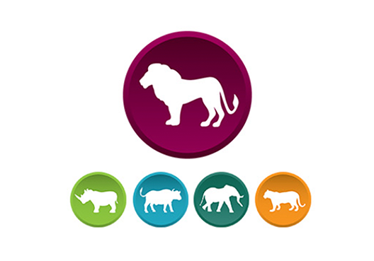 The Big Five
